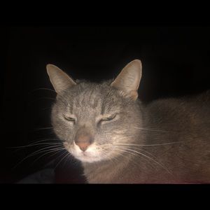 Meet your Posher, Aimee